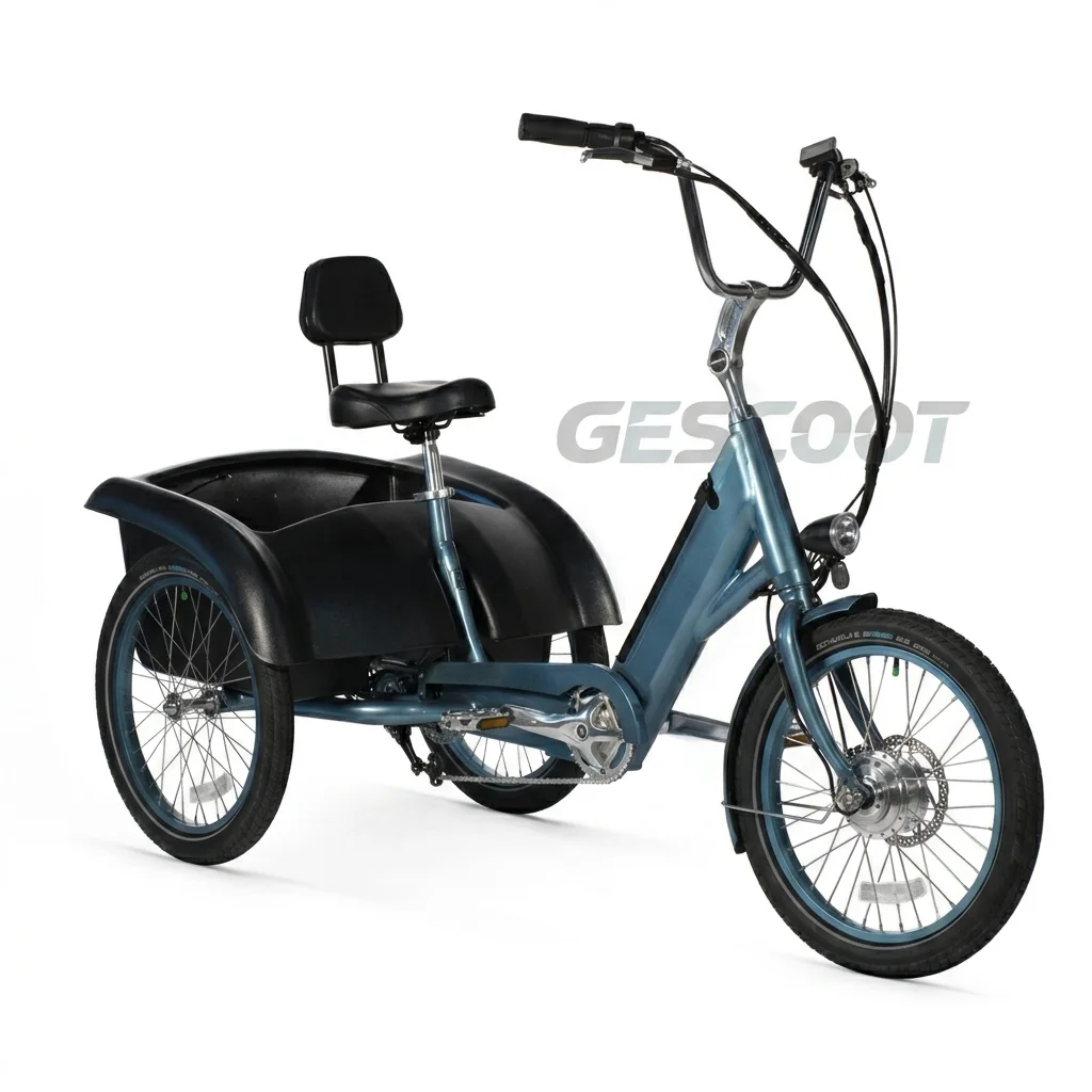 Pedego Trike view 1