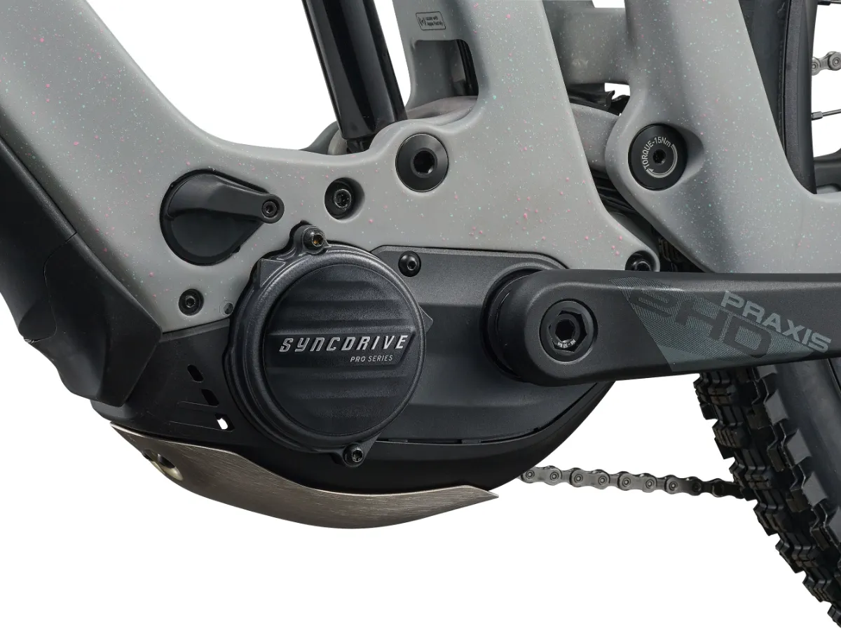 Giant Reign Advanced E+ 2 Electric Bike view 8