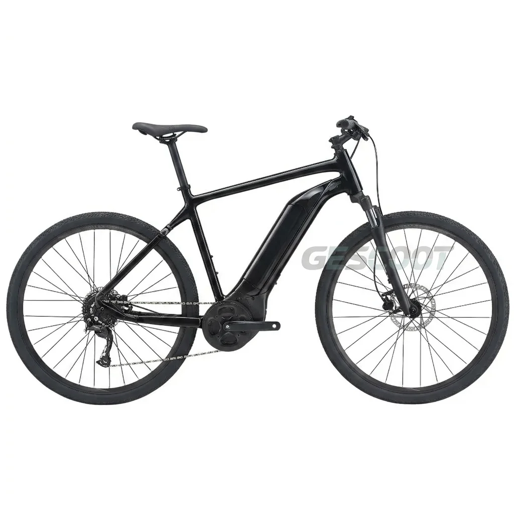 Giant Roam E+ Electric Bike view 1