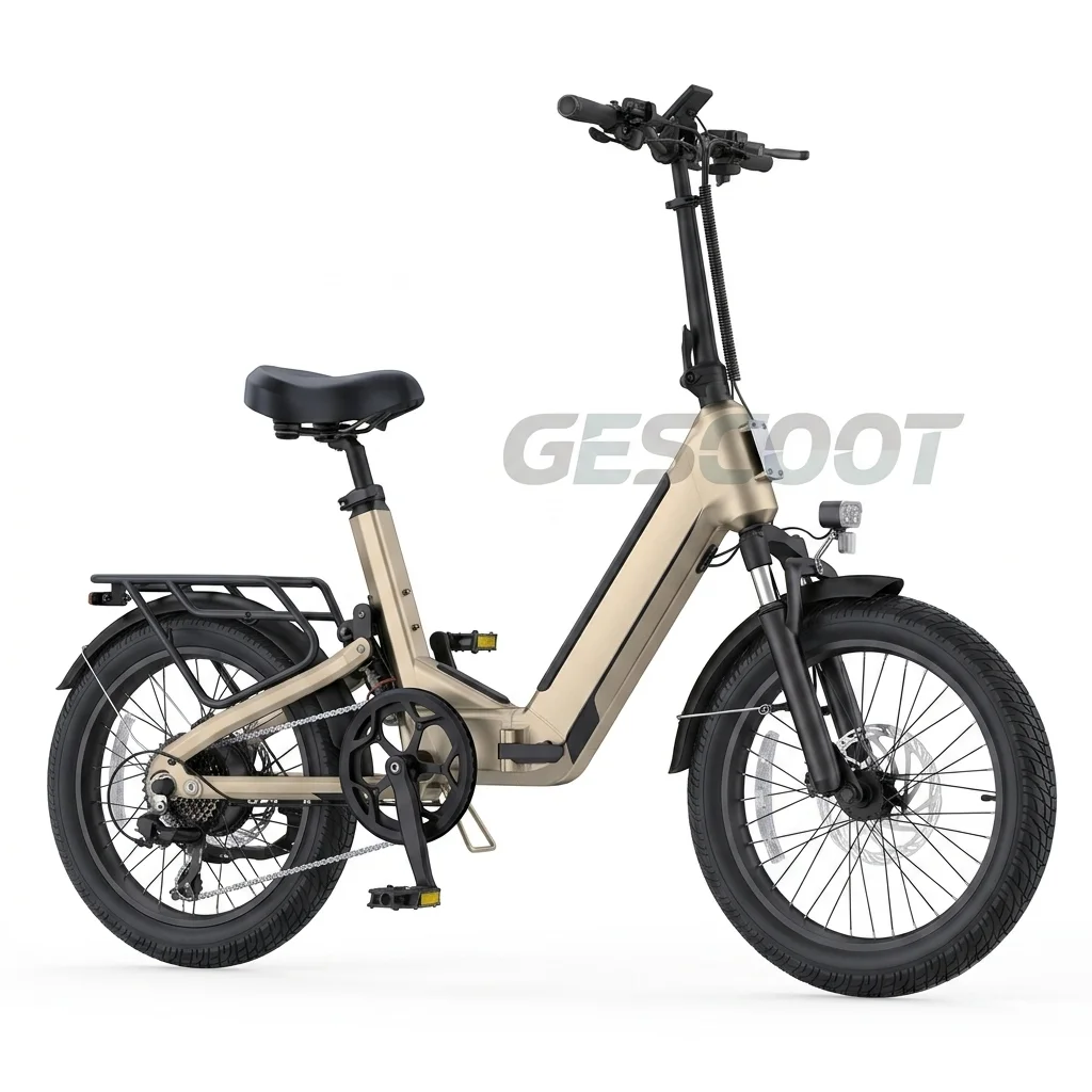 Engwe L20 3.0 Electric Bike view 1