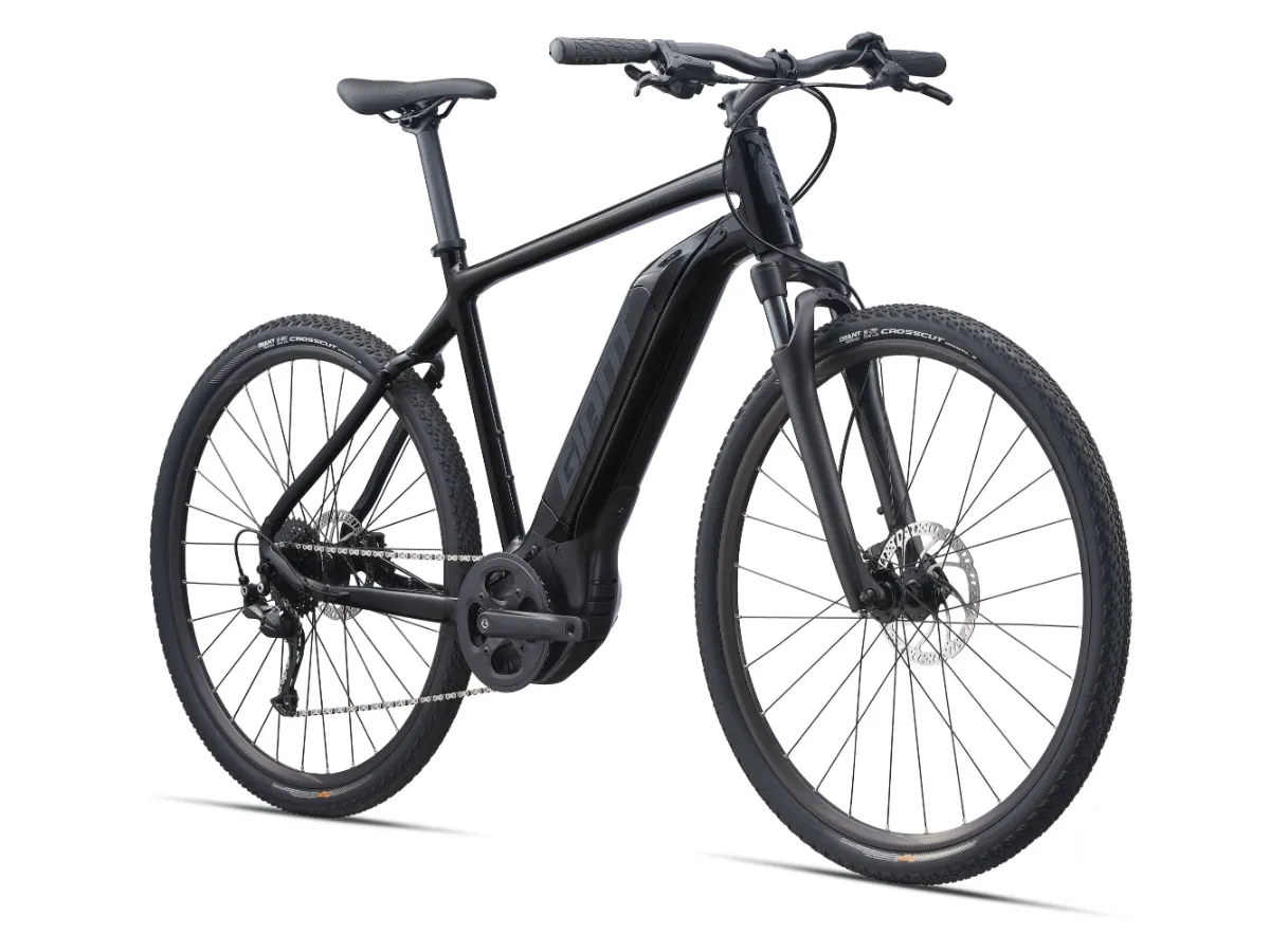 Giant Roam E+ Electric Bike view 2