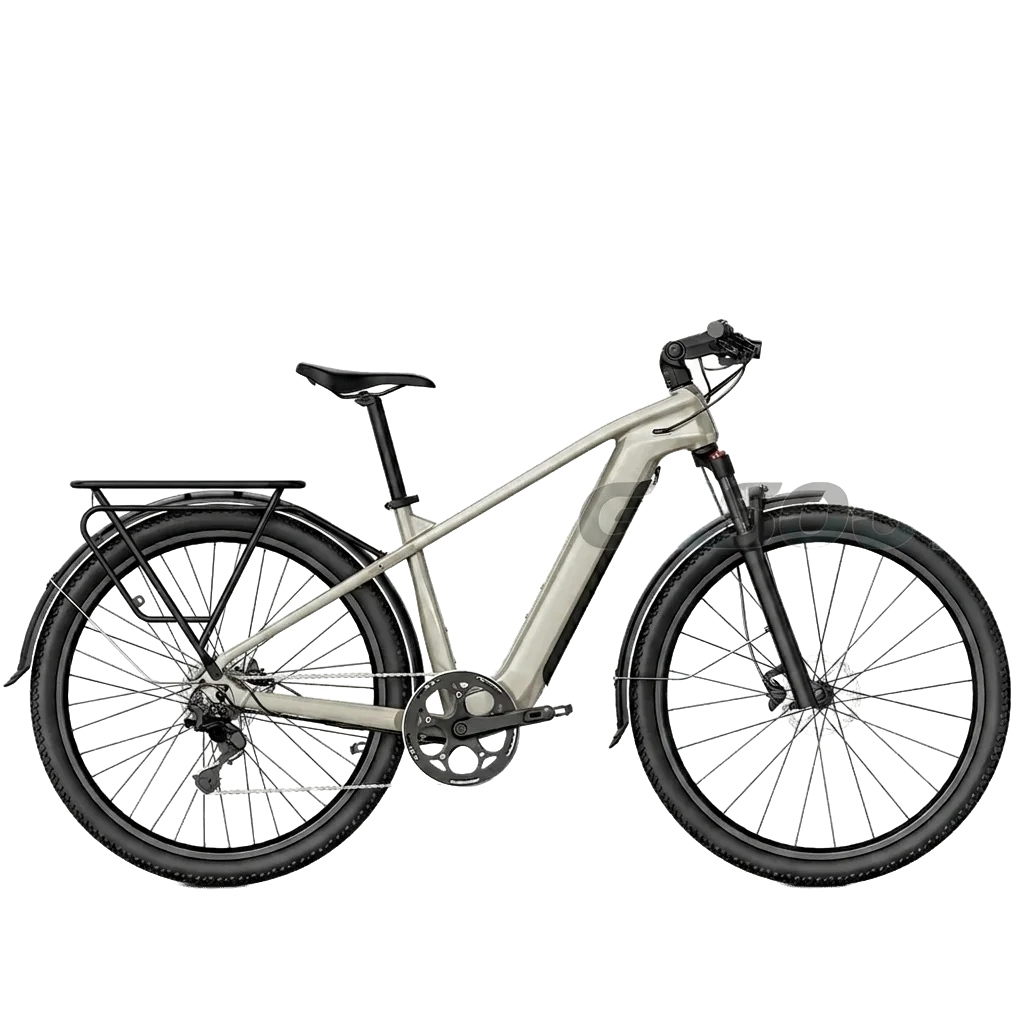 Fiido Nomads Electric Bike view 1