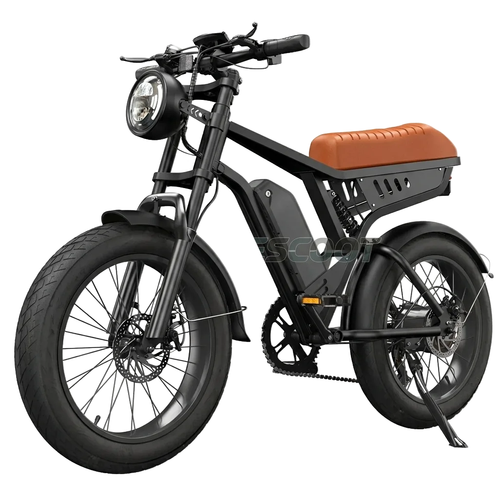 Isinwheel R6 1000W Retro Electric Bike With Battery view 1