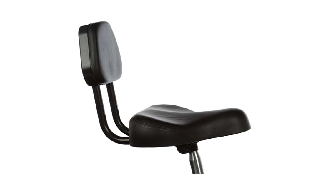 Pedego Trike view 4