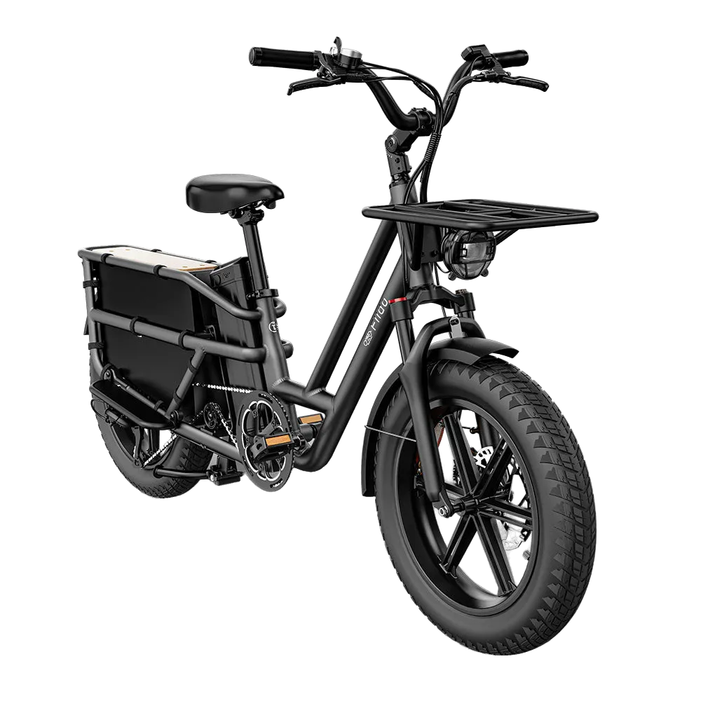 Fiido T2 Electric Bike view 6