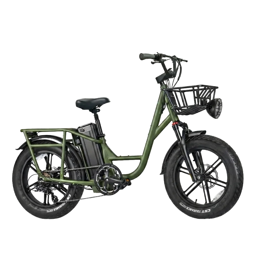 Fiido T1 Pro Electric Bike view 1