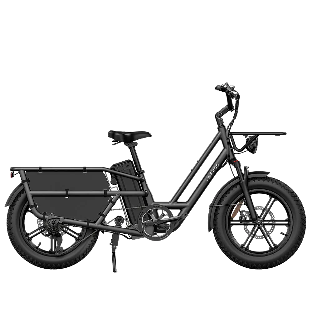 Fiido T2 Electric Bike view 9