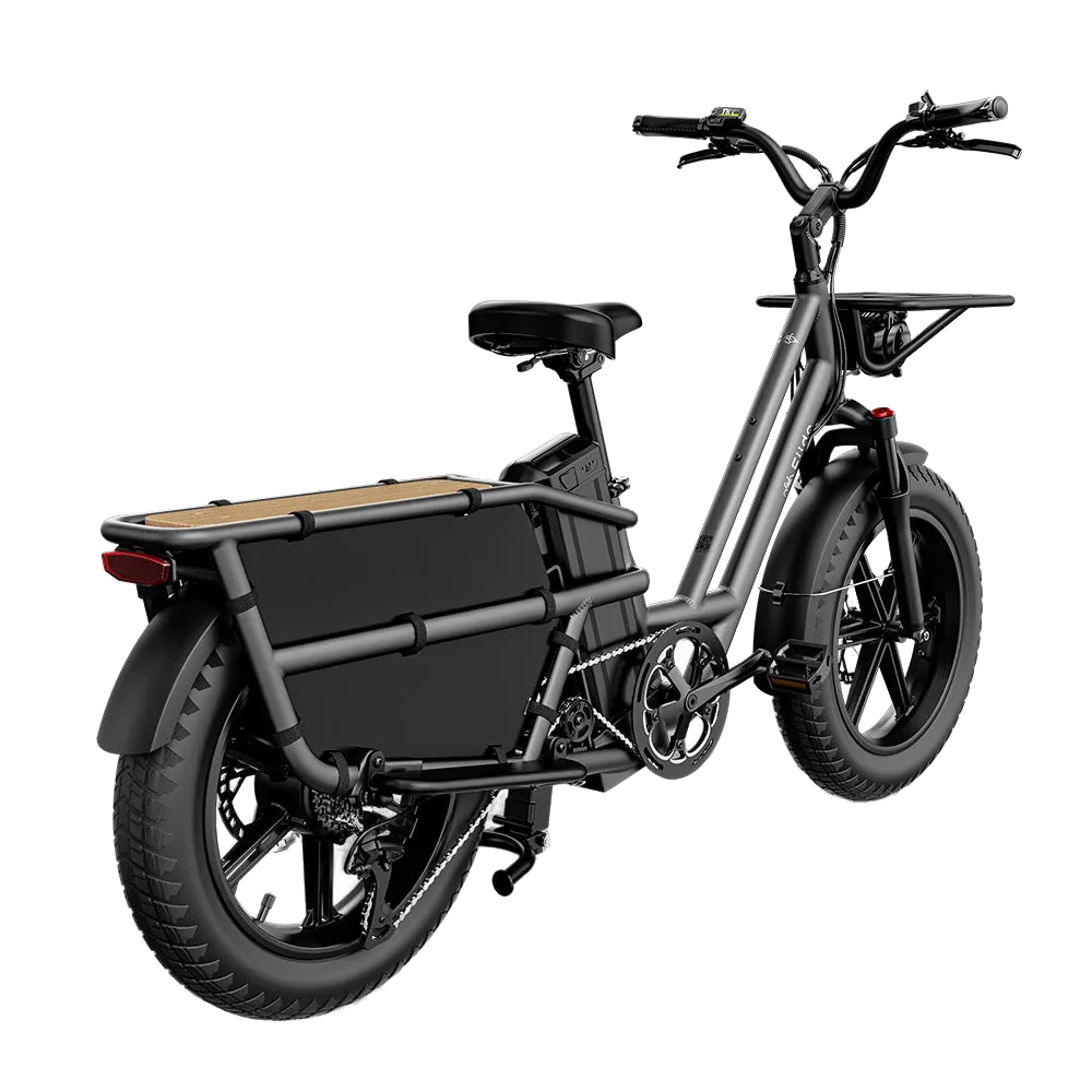 Fiido T2 Electric Bike view 8