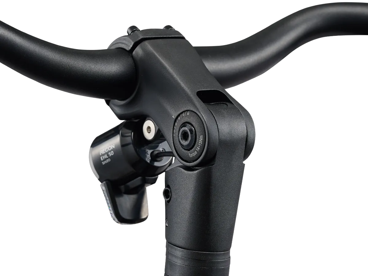 Giant NewTour E+ 3 LST Electric Bike view 4