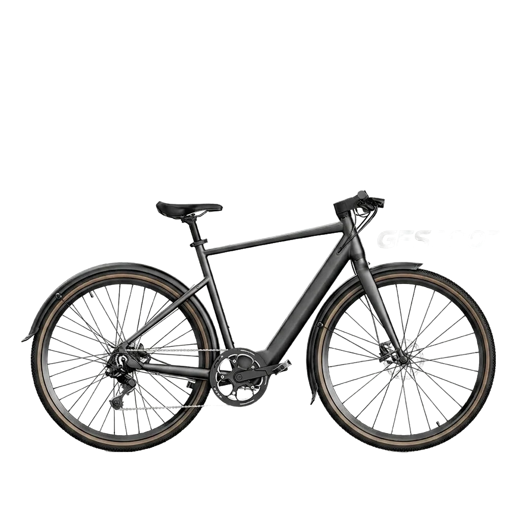 Fiido C21 Electric Bike view 1