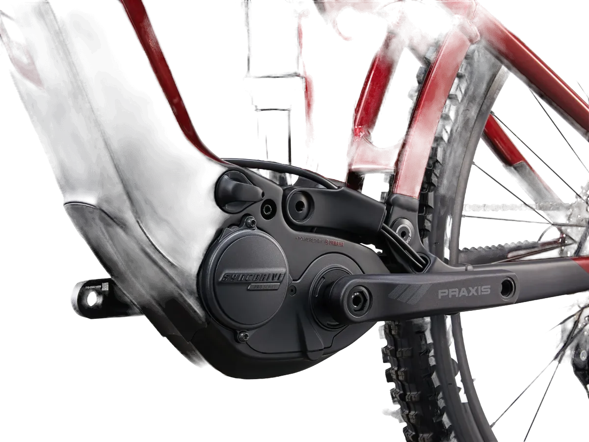 Giant Reign E+ 2 Electric Bike view 3