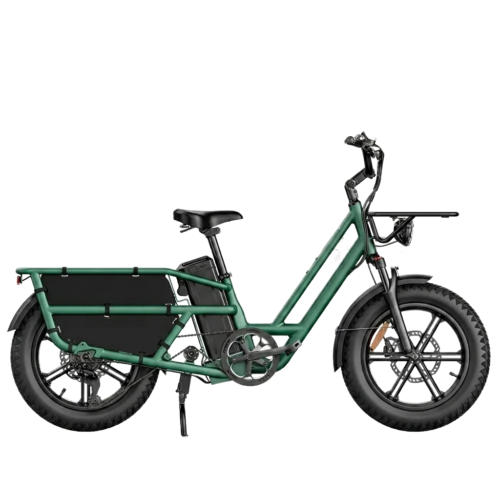 Fiido T2 Electric Bike view 1