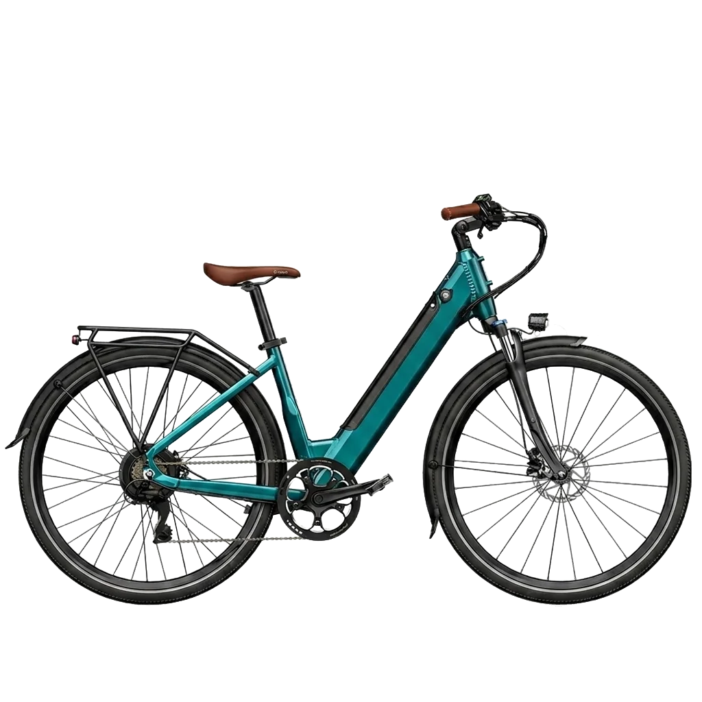 Fiido C11 Pro Electric Bike view 1