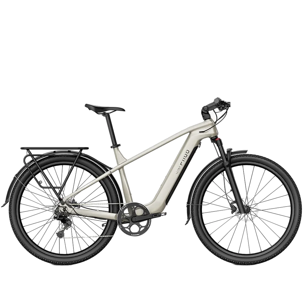 Fiido Nomads Electric Bike view 8