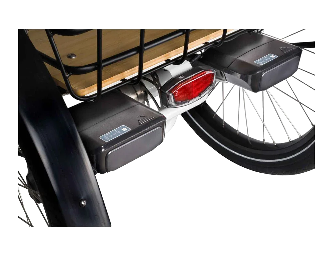 Evelo Compass Electric Trike view 6