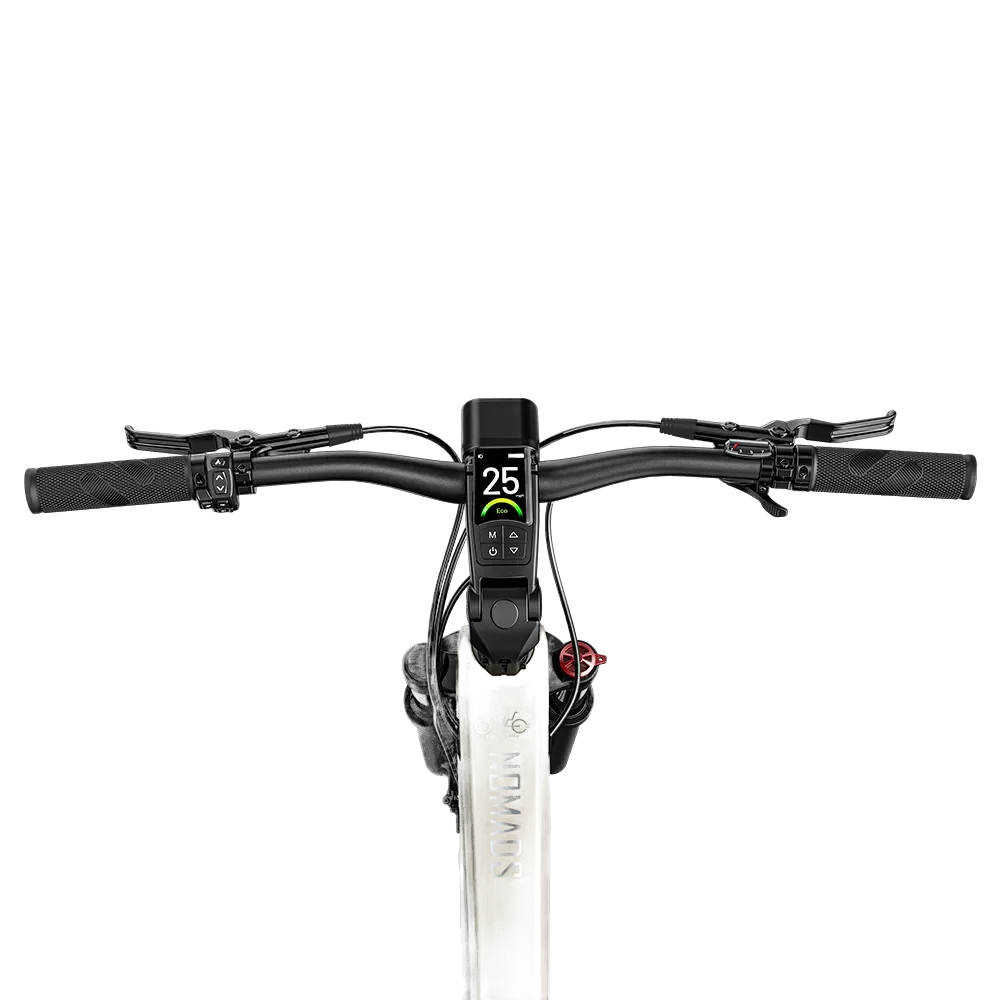 Fiido Nomads Electric Bike view 6
