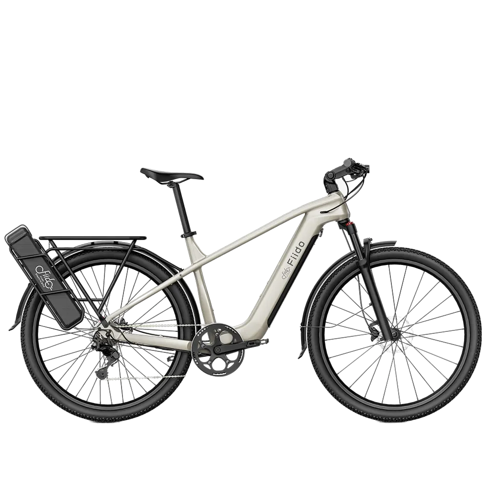 Fiido Nomads Electric Bike view 7