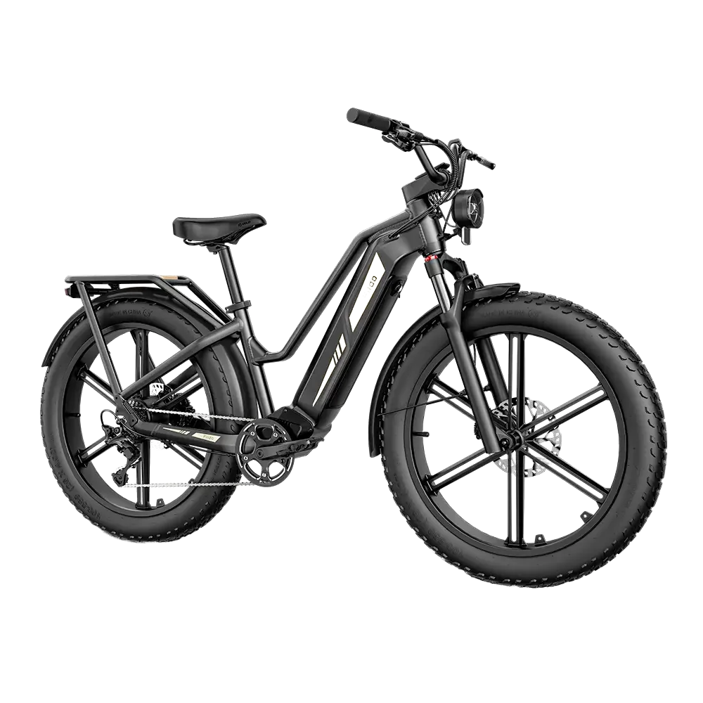 Fiido Titan Electric Bike view 5