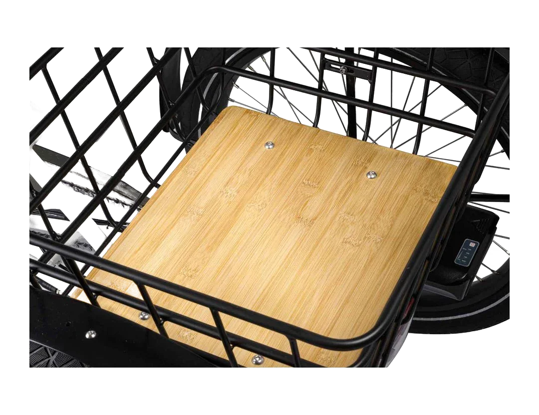 Evelo Compass Electric Trike view 5