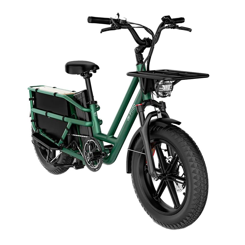 Fiido T2 Electric Bike view 5