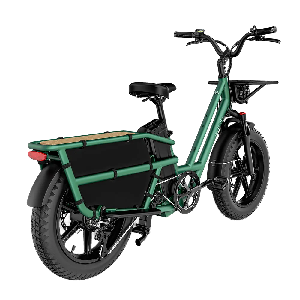 Fiido T2 Electric Bike view 7