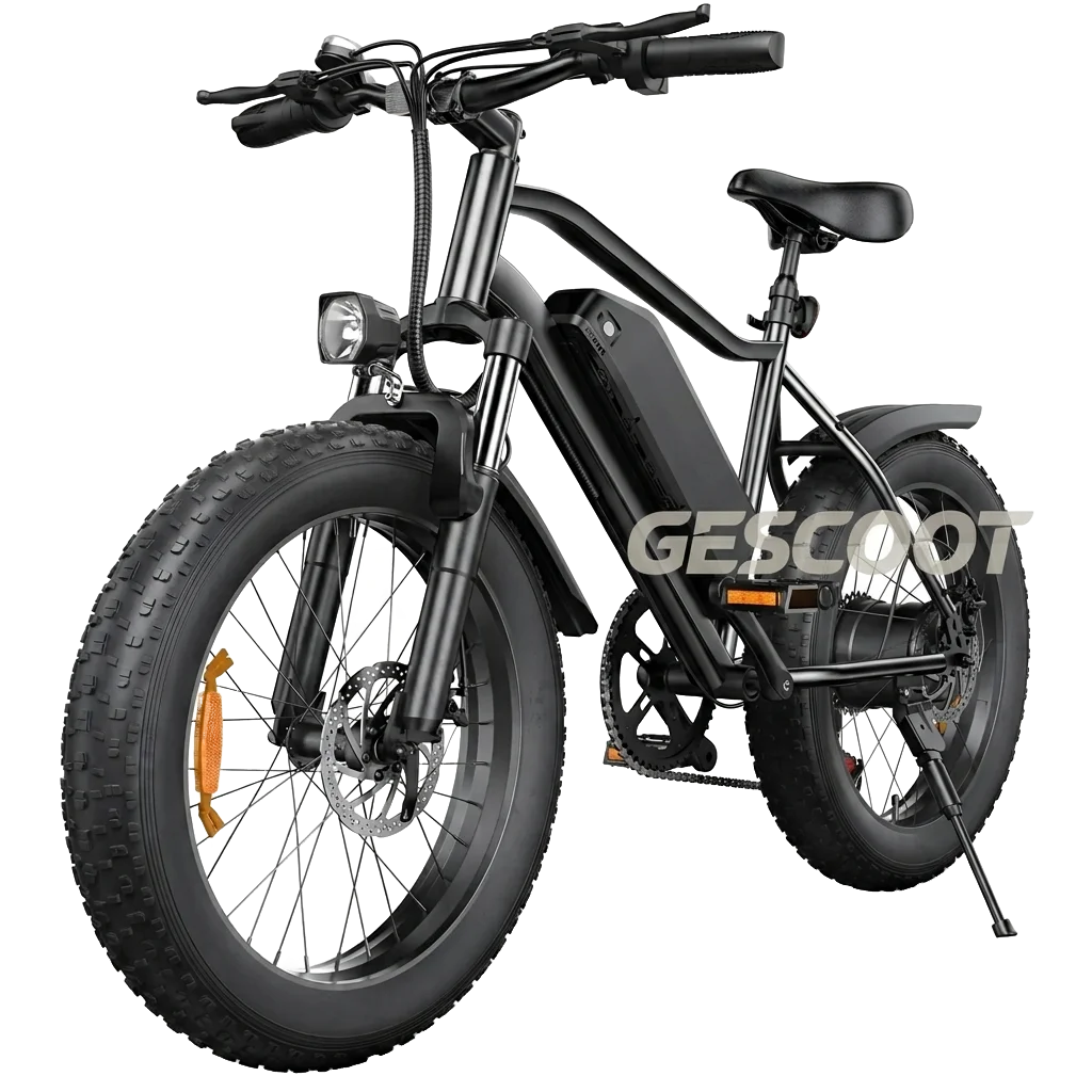 Isinwheel M10Pro Electric Bike For Adults view 1