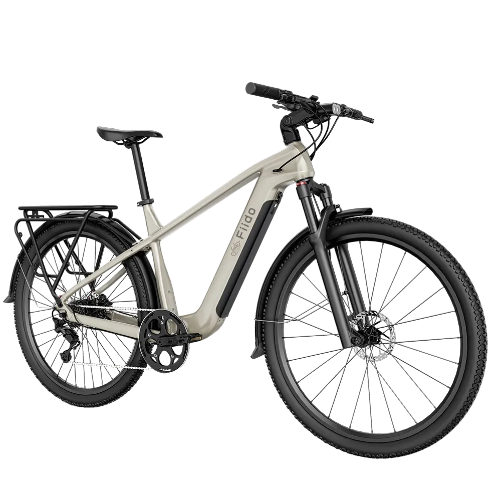 Fiido Nomads Electric Bike view 4