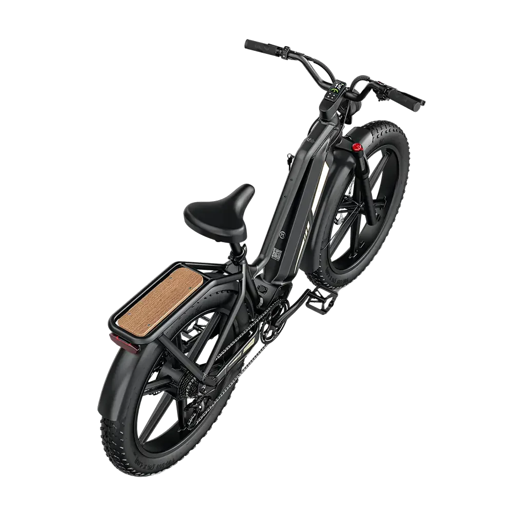 Fiido Titan Electric Bike view 6