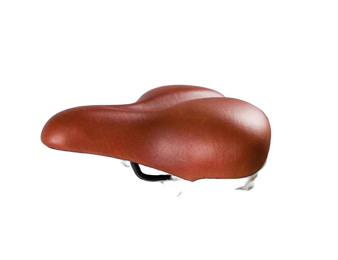Evelo Compass Electric Trike view 7