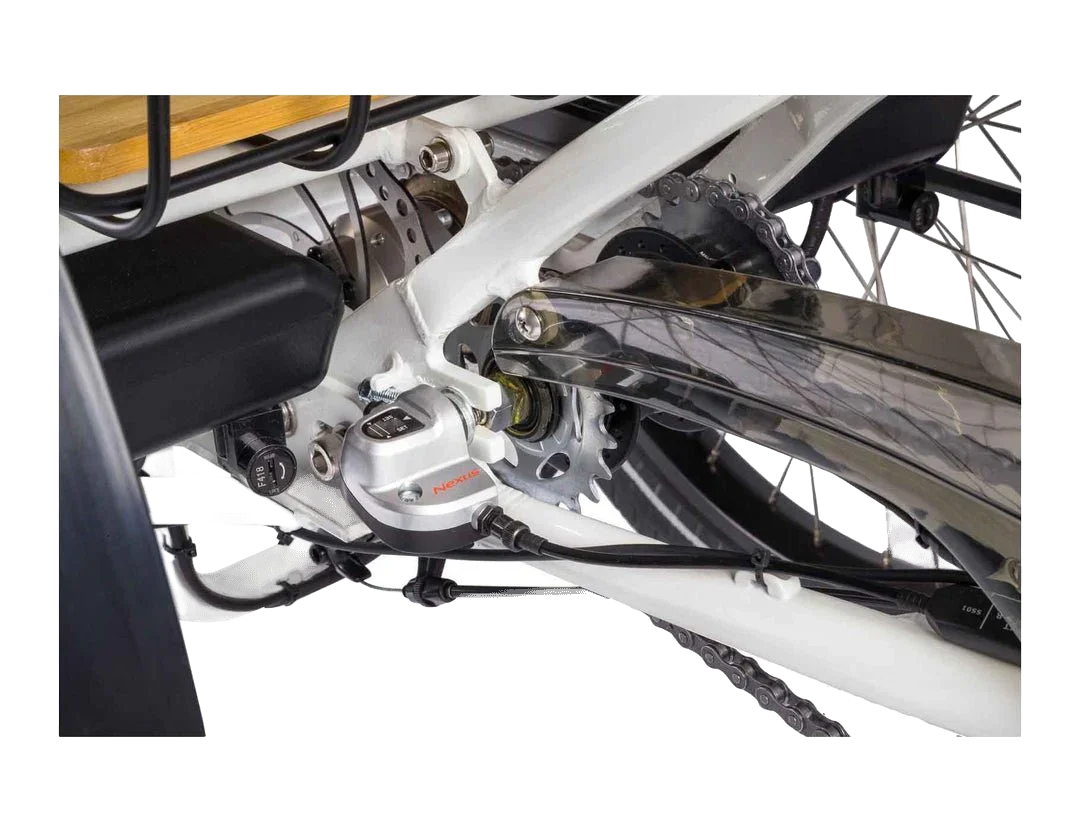 Evelo Compass Electric Trike view 10