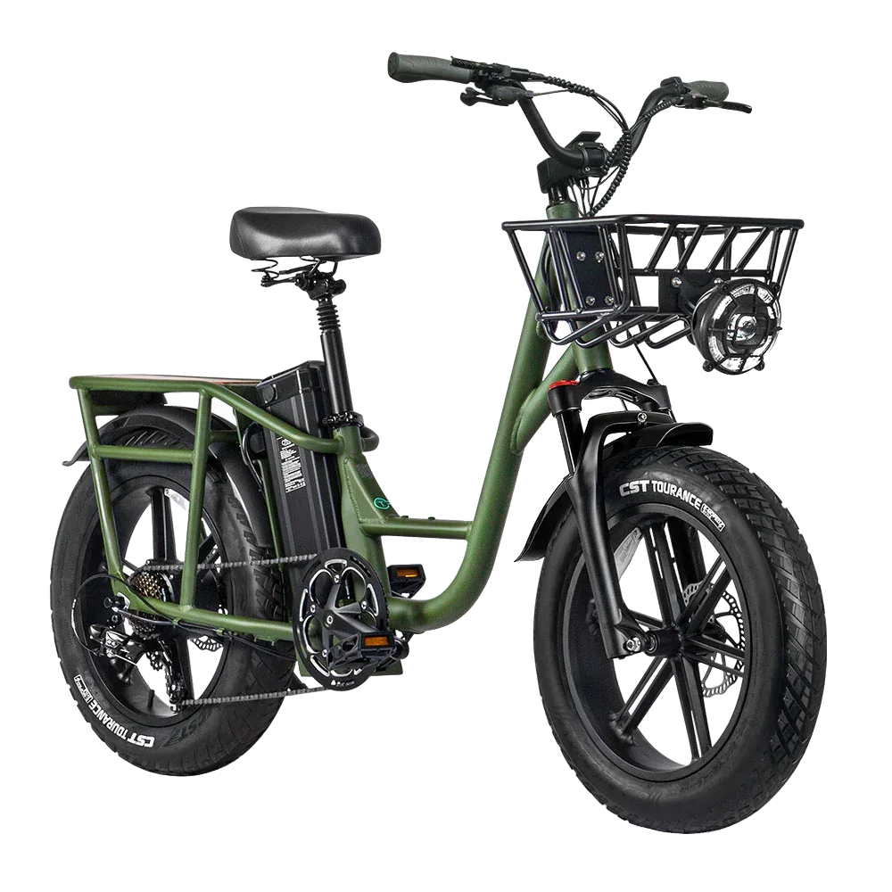 Fiido T1 Pro Electric Bike view 3