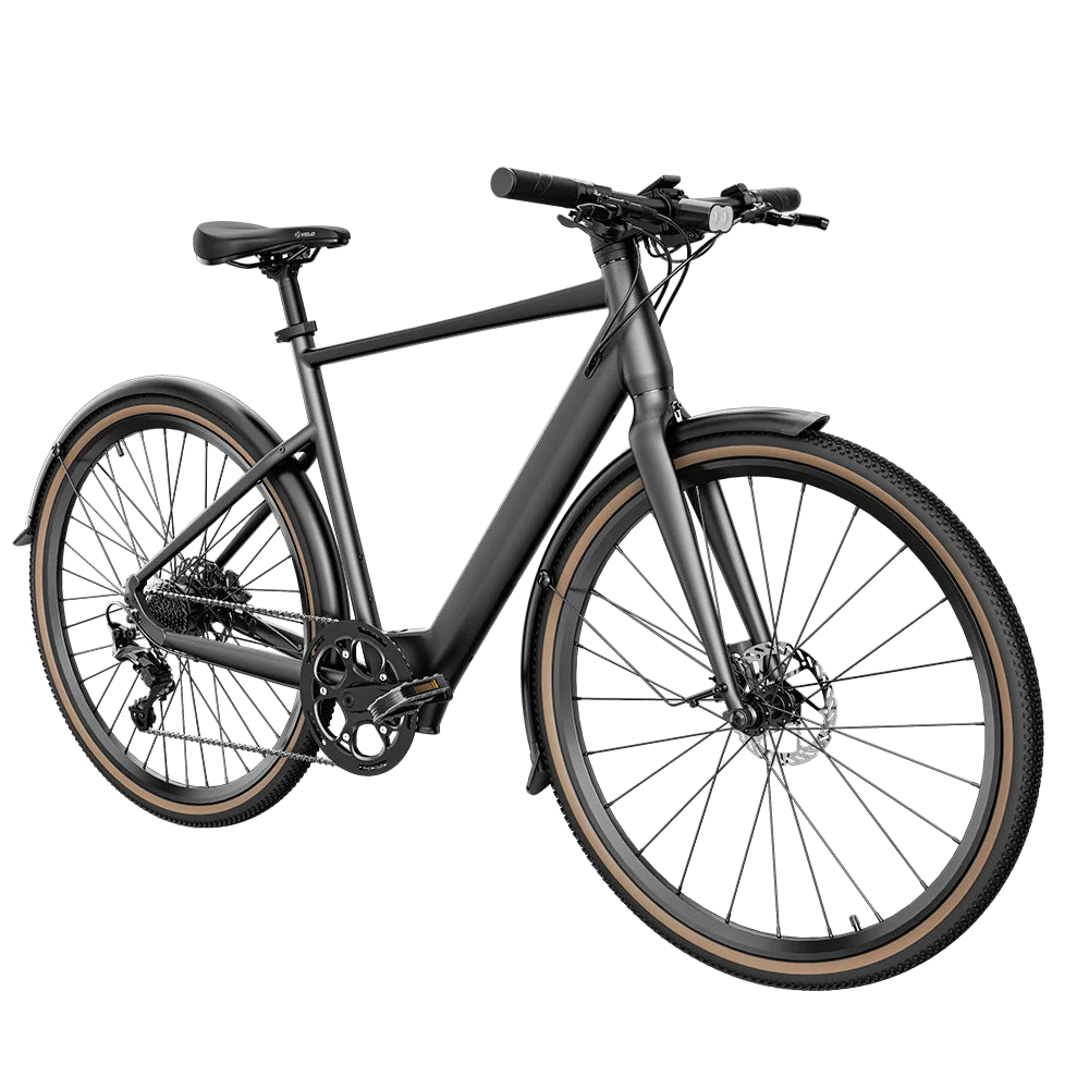 Fiido C21 Electric Bike view 2