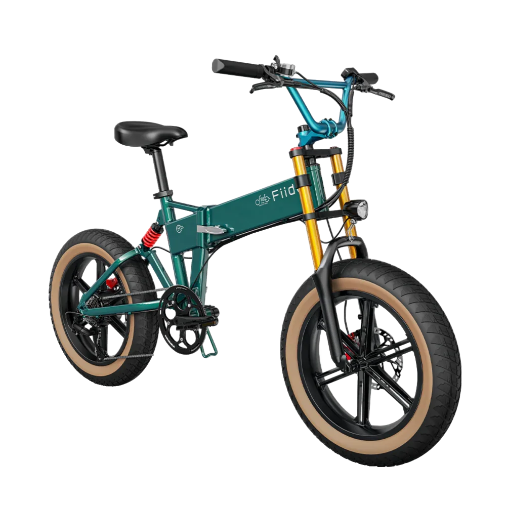 Fiido M1 Pro Electric Bike view 6