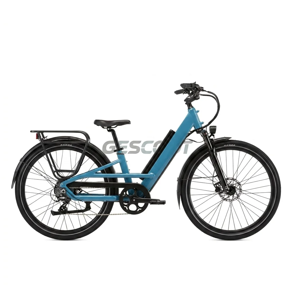 Rad Power Bikes Radster Road Electric Commuter Bike view 1