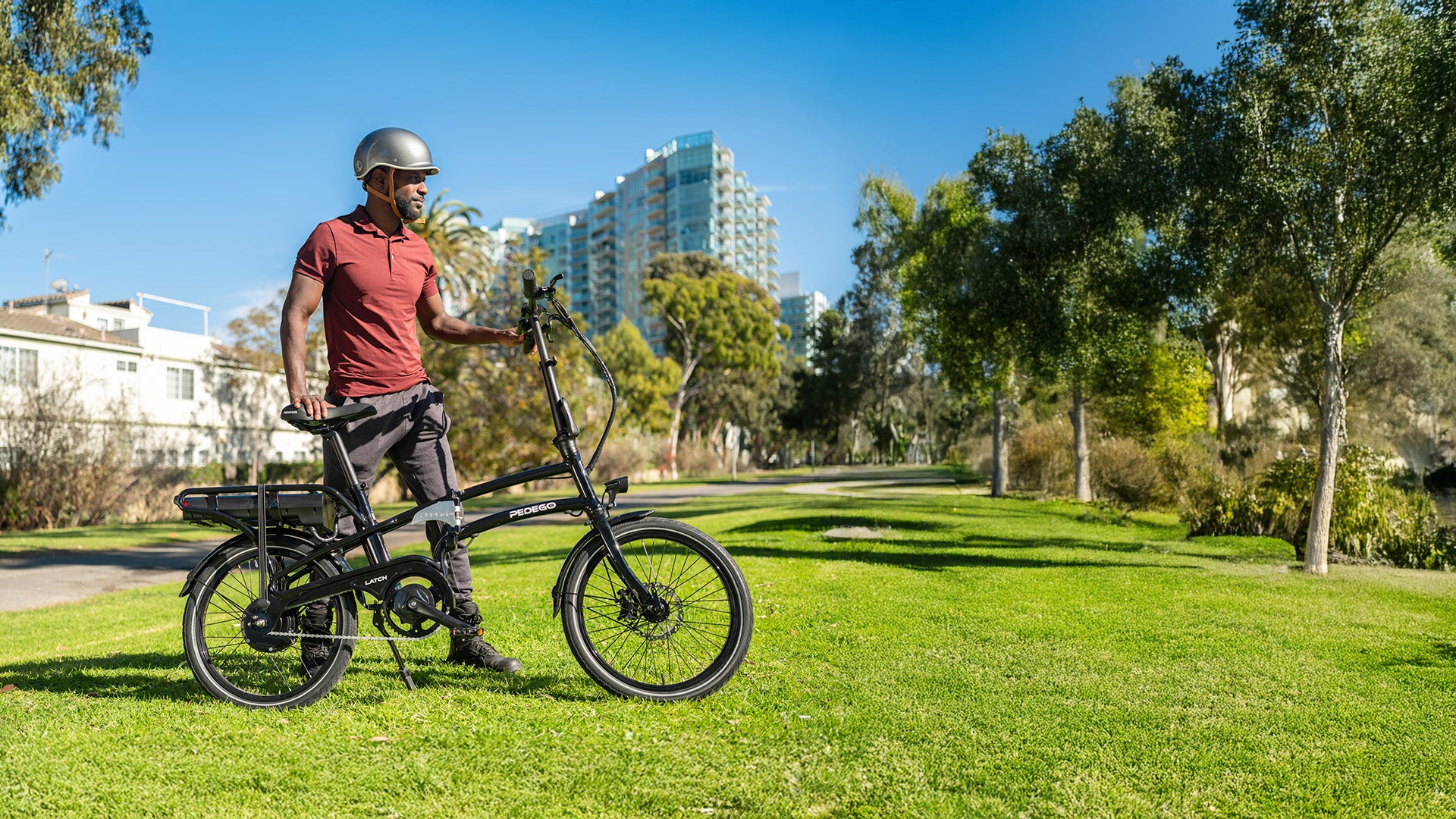 Pedego Trike view 2