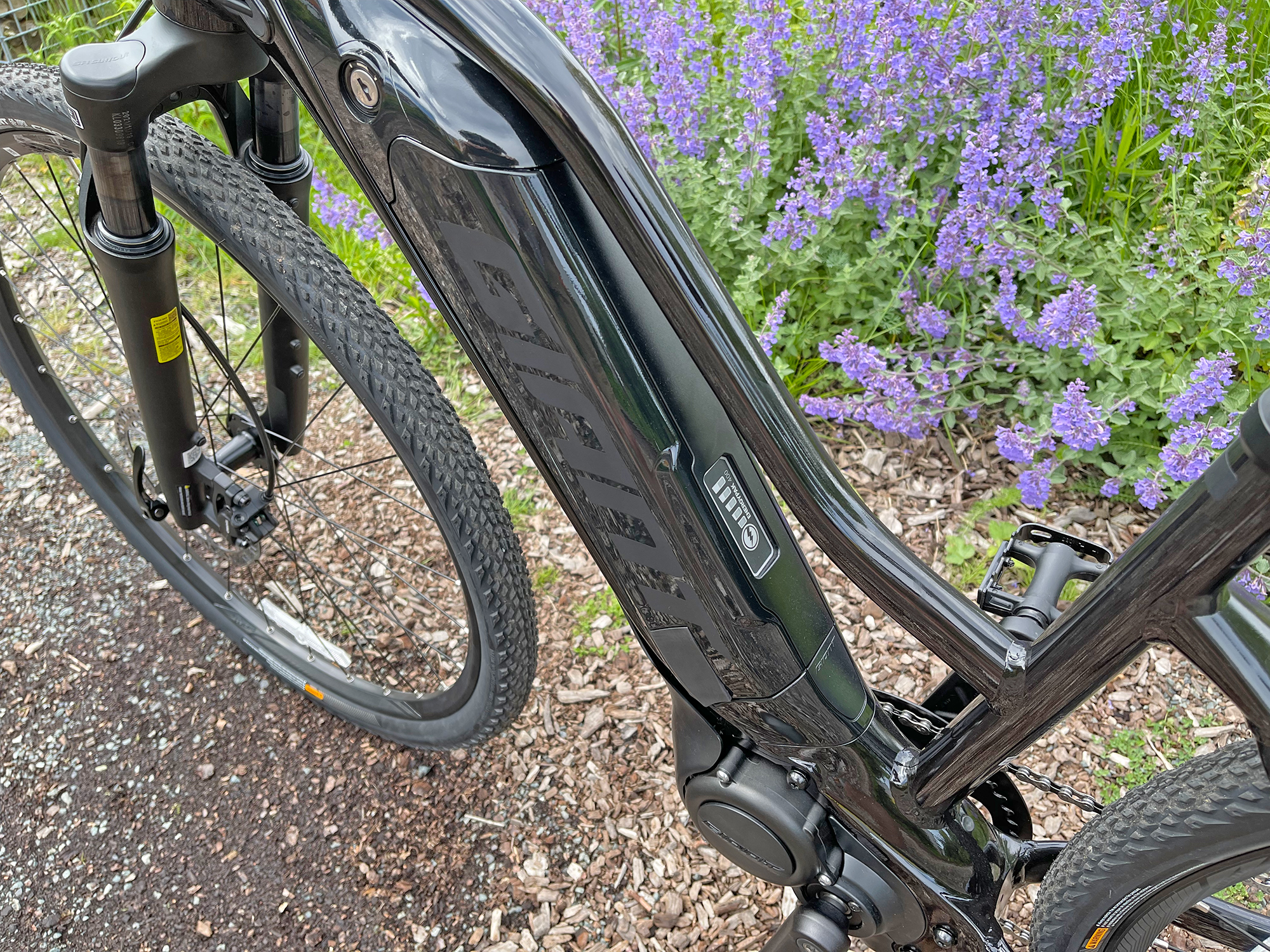 Giant Roam E+ Electric Bike view 4