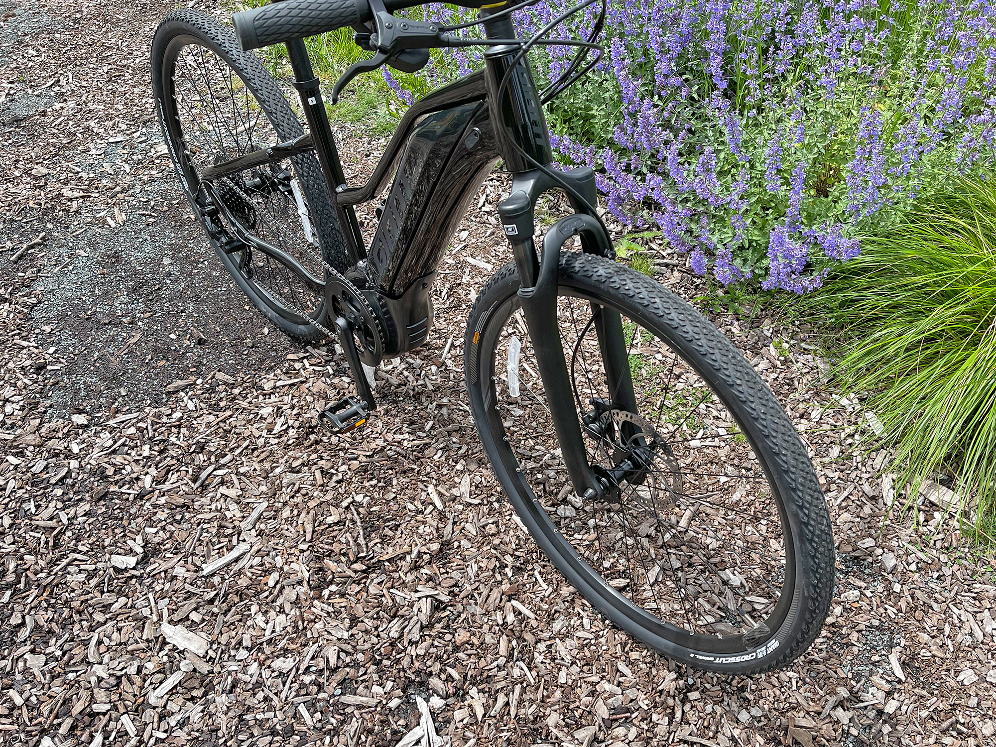 Giant Roam E+ Electric Bike view 6