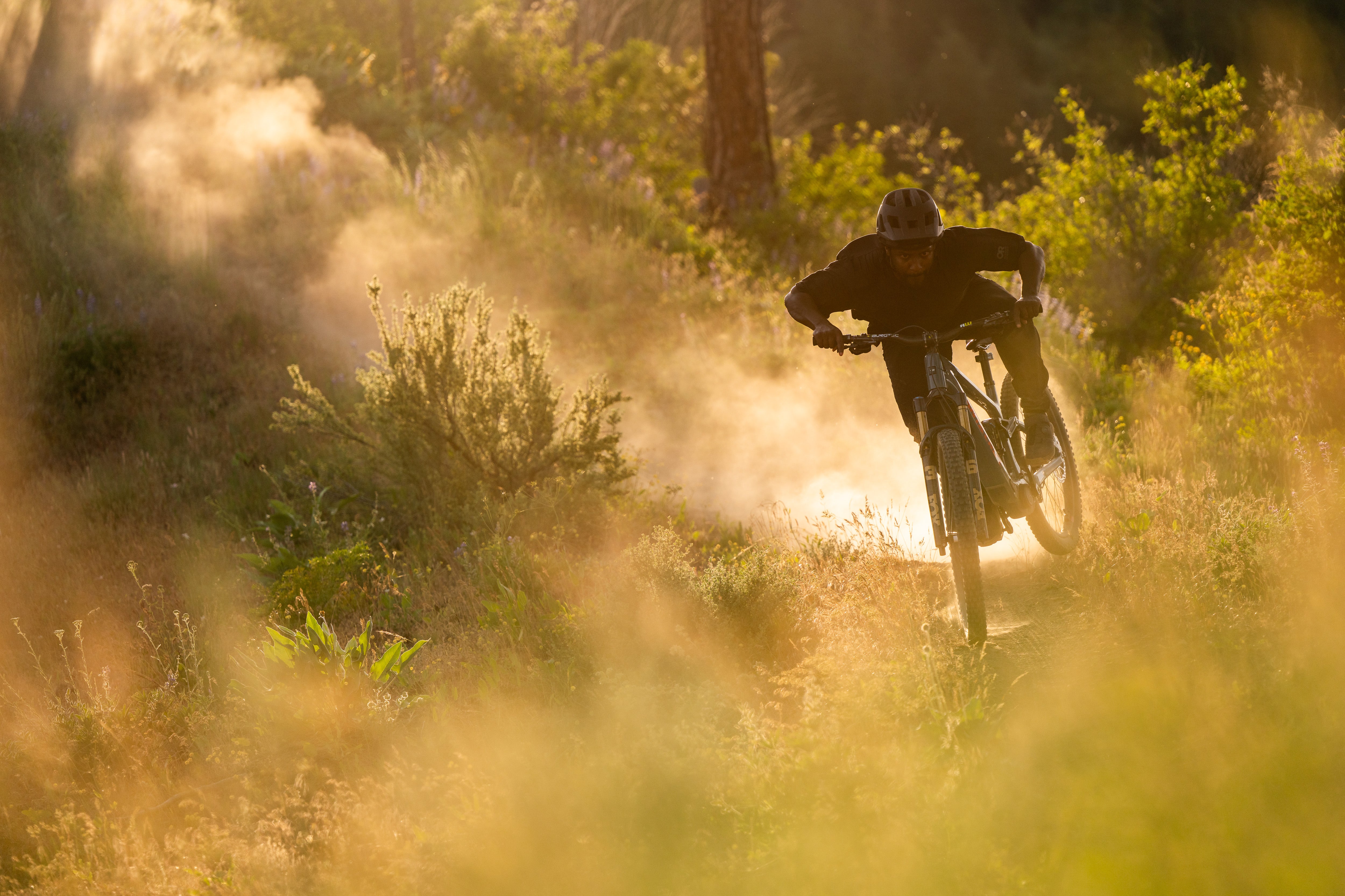 Santa Cruz Vala XT Di2 RSV Electric Bike view 4