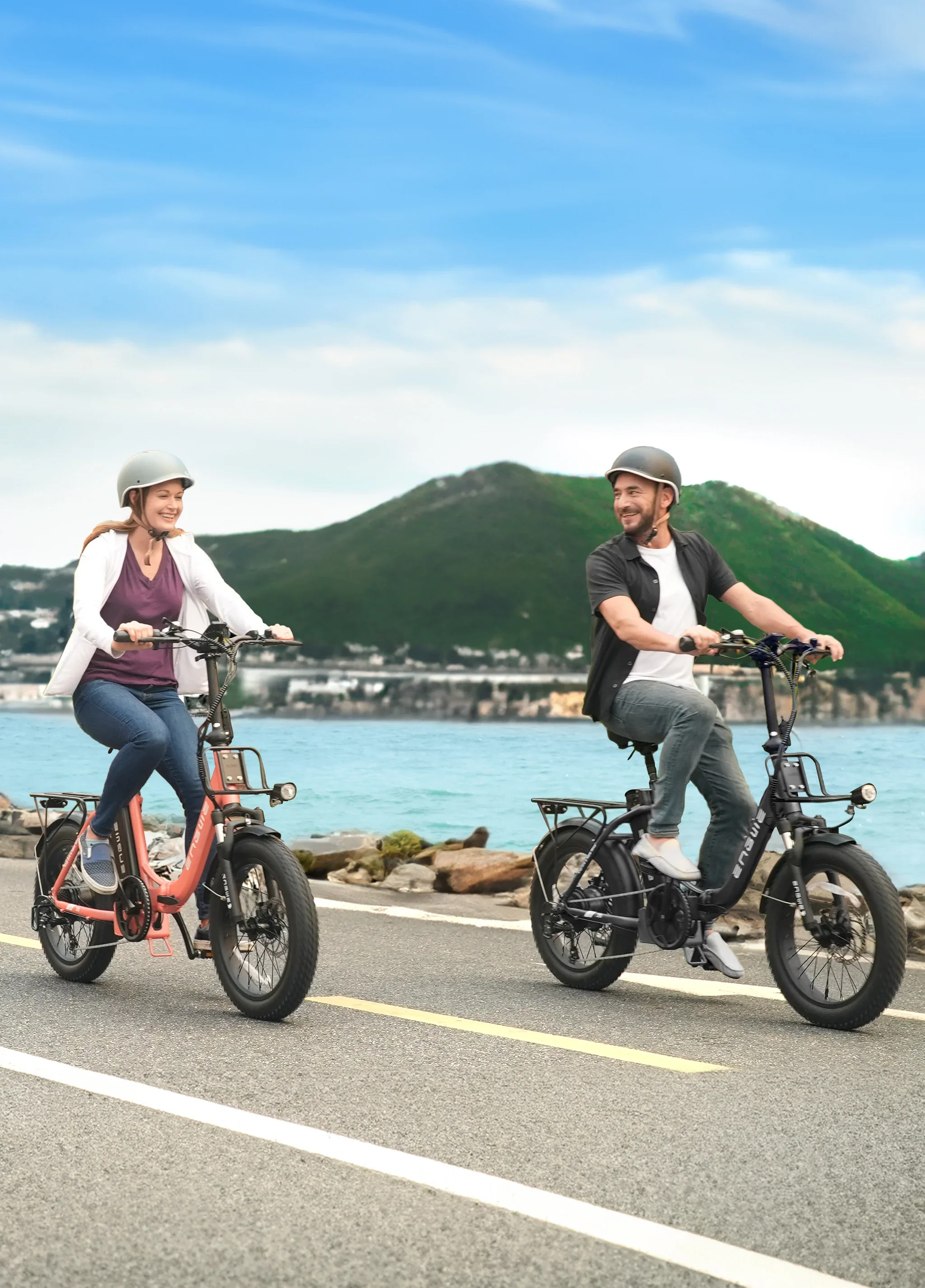 Engwe L20 2.0 Electric Bike view 2