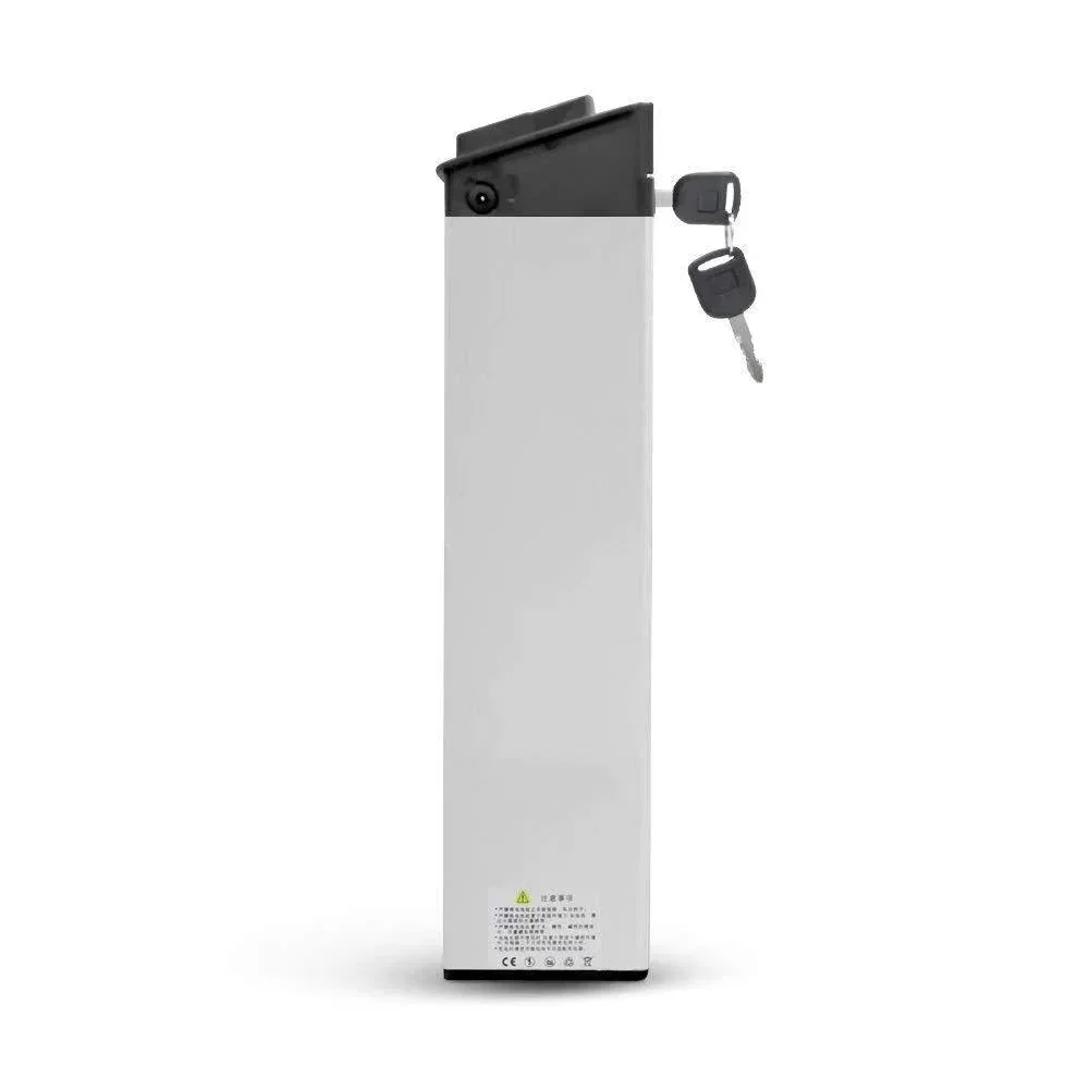 Engwe EP-2 Pro Combo view 20