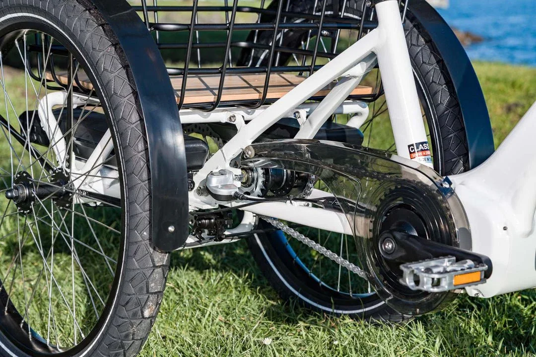 Evelo Compass Electric Trike view 16