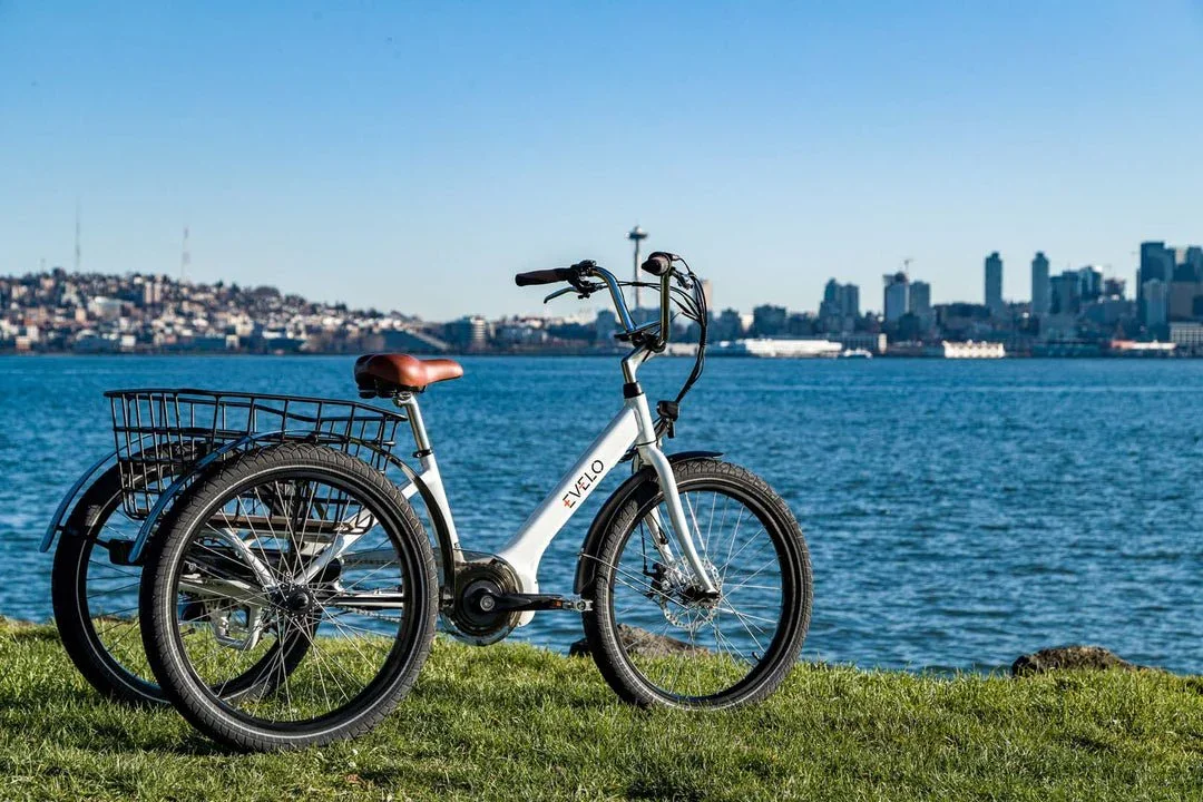 Evelo Compass Electric Trike view 14