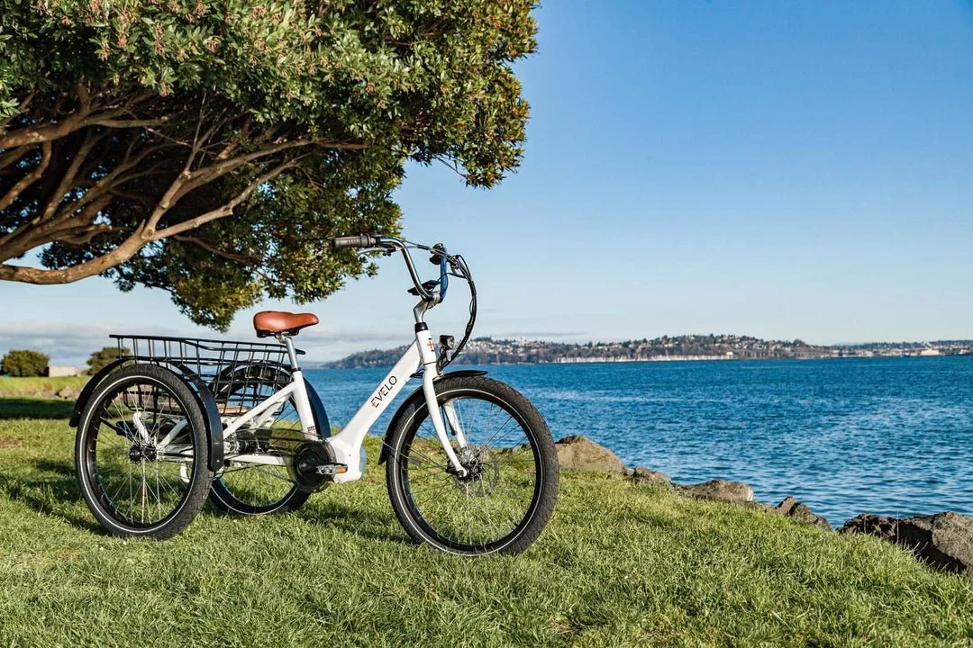Evelo Compass Electric Trike view 18