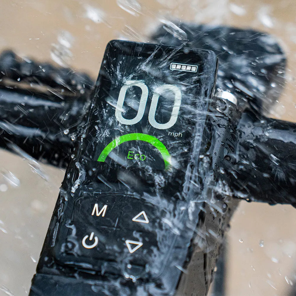 Fiido C21 Electric Bike view 3