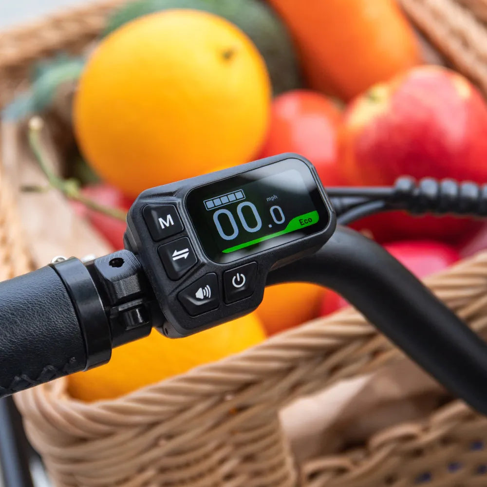 Fiido T2 Electric Bike view 3