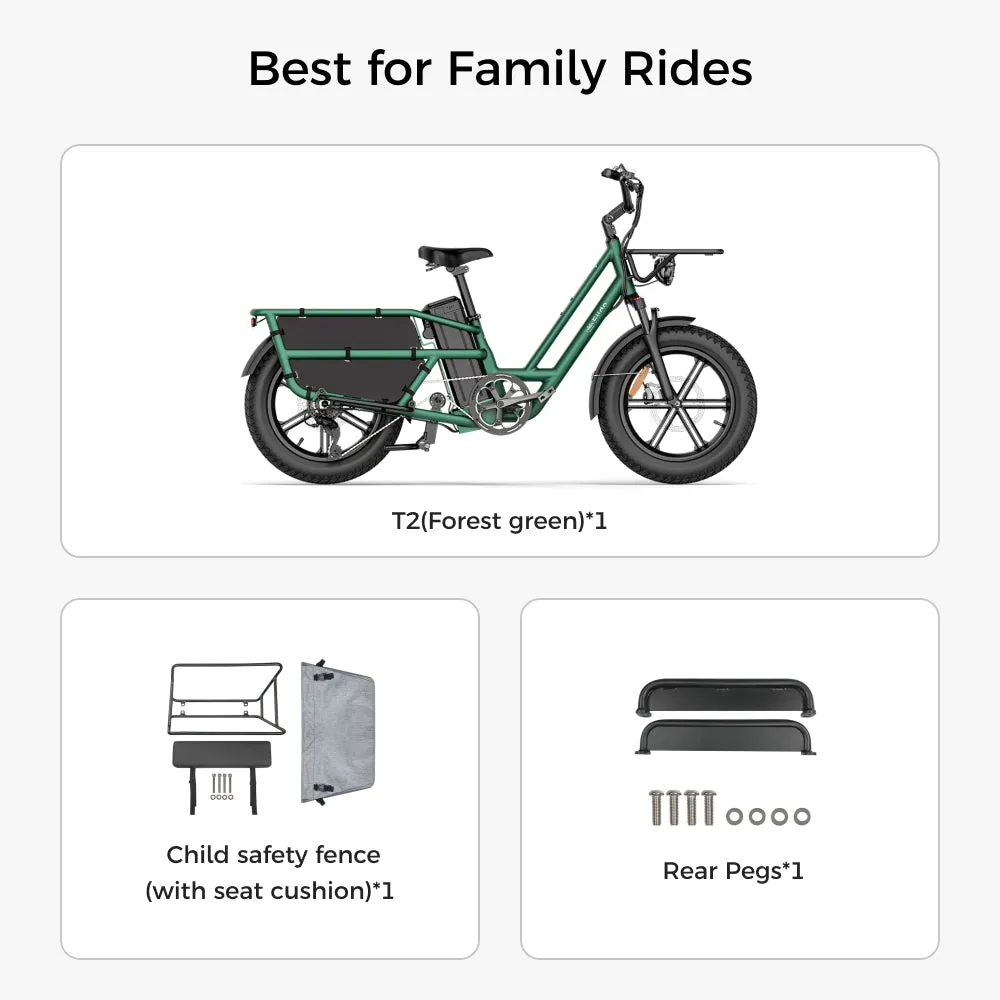 Fiido T2 Electric Bike view 10
