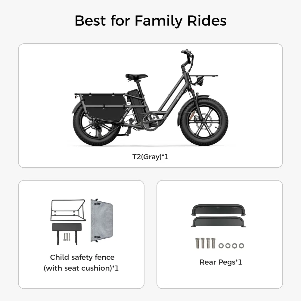 Fiido T2 Electric Bike view 11