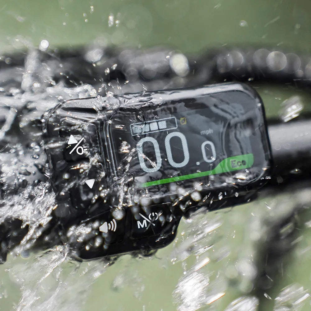 Fiido D3 Pro Electric Bike view 3