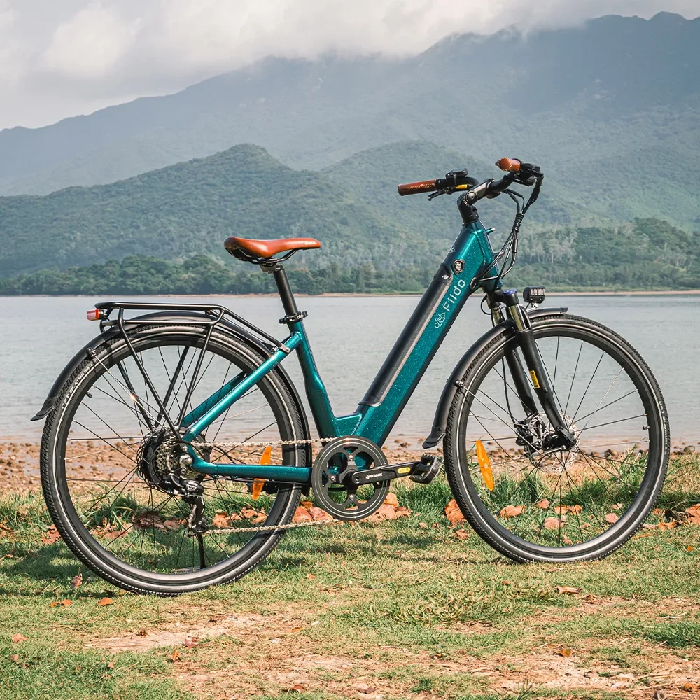 Fiido C11 Pro Electric Bike view 5