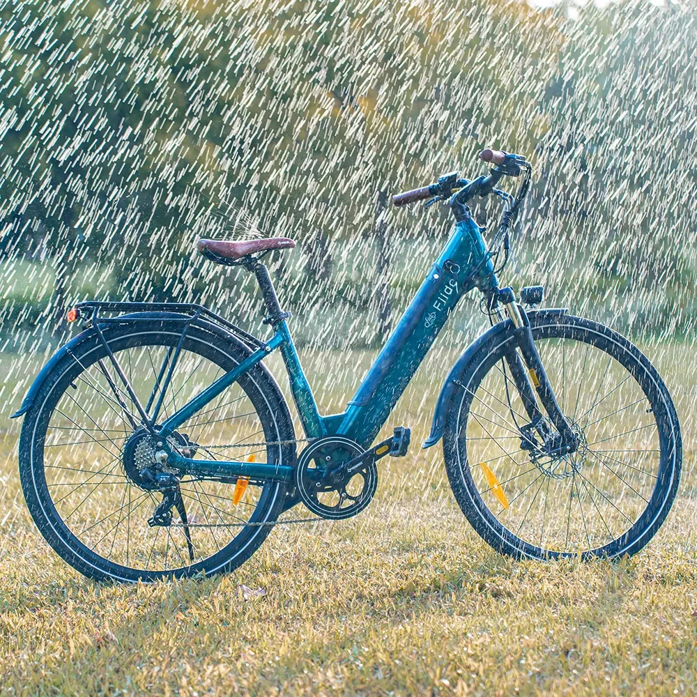 Fiido C11 Pro Electric Bike view 4